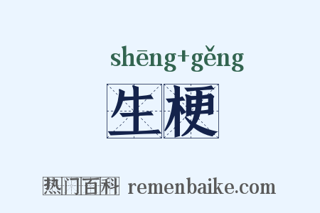 生梗是什么意思的图片